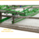 OPB MPB Modular Belt 800 Fine Mesh Grid Conveyor Sorting